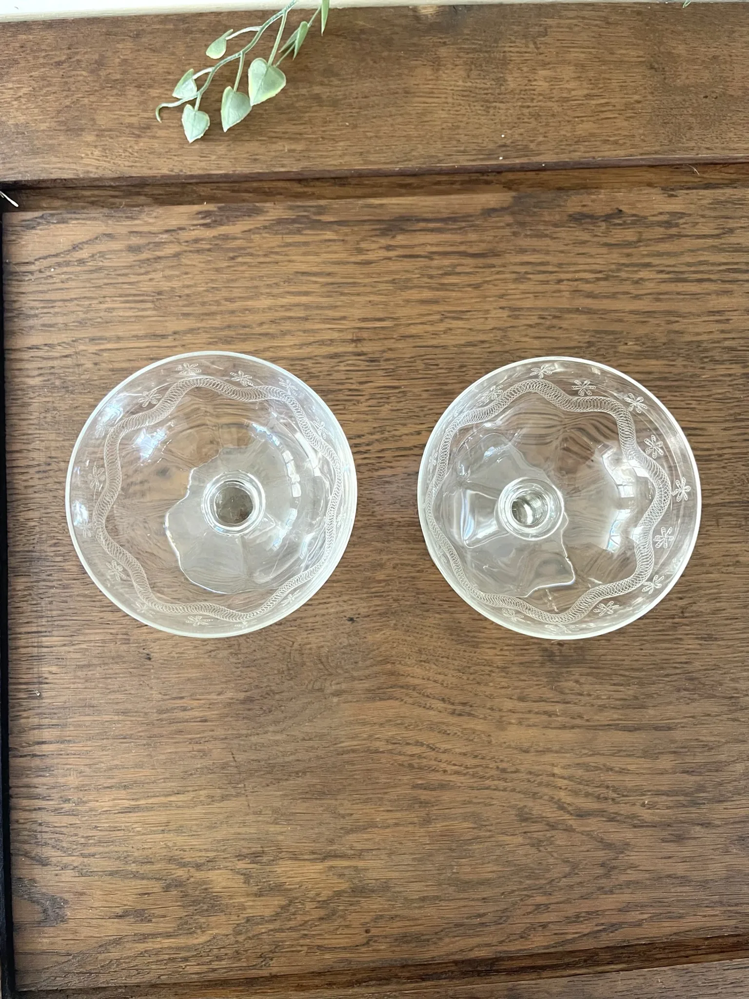 Champagne glasses coupe glasses set of 2 etched floral design crystal