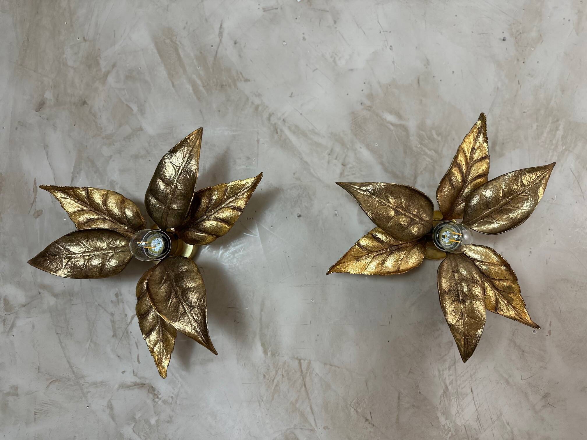 Pair of wall sconces by Willy Daro