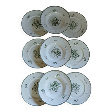 9 antique ironstone plates "Strasbourg"