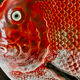 Bordalo pinheiro large majolica fish plate