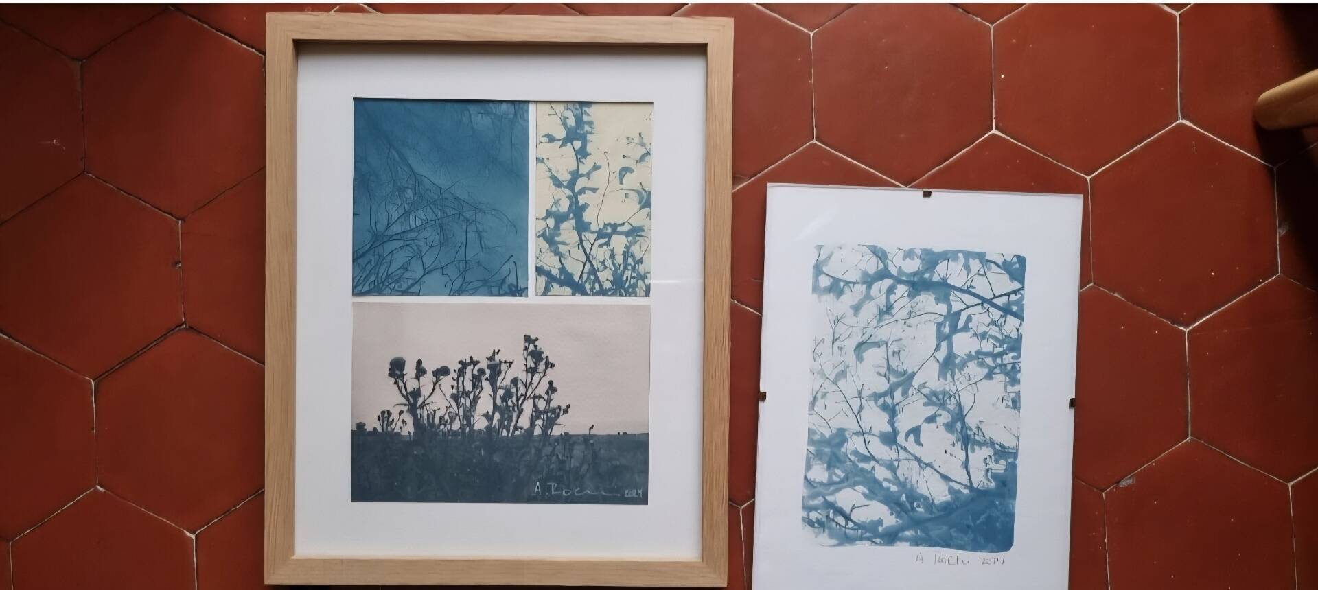 Handmade cyanotype botanical photography collection
