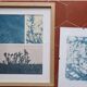 Handmade cyanotype botanical photography collection