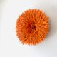Jujuhat orange 50 cm