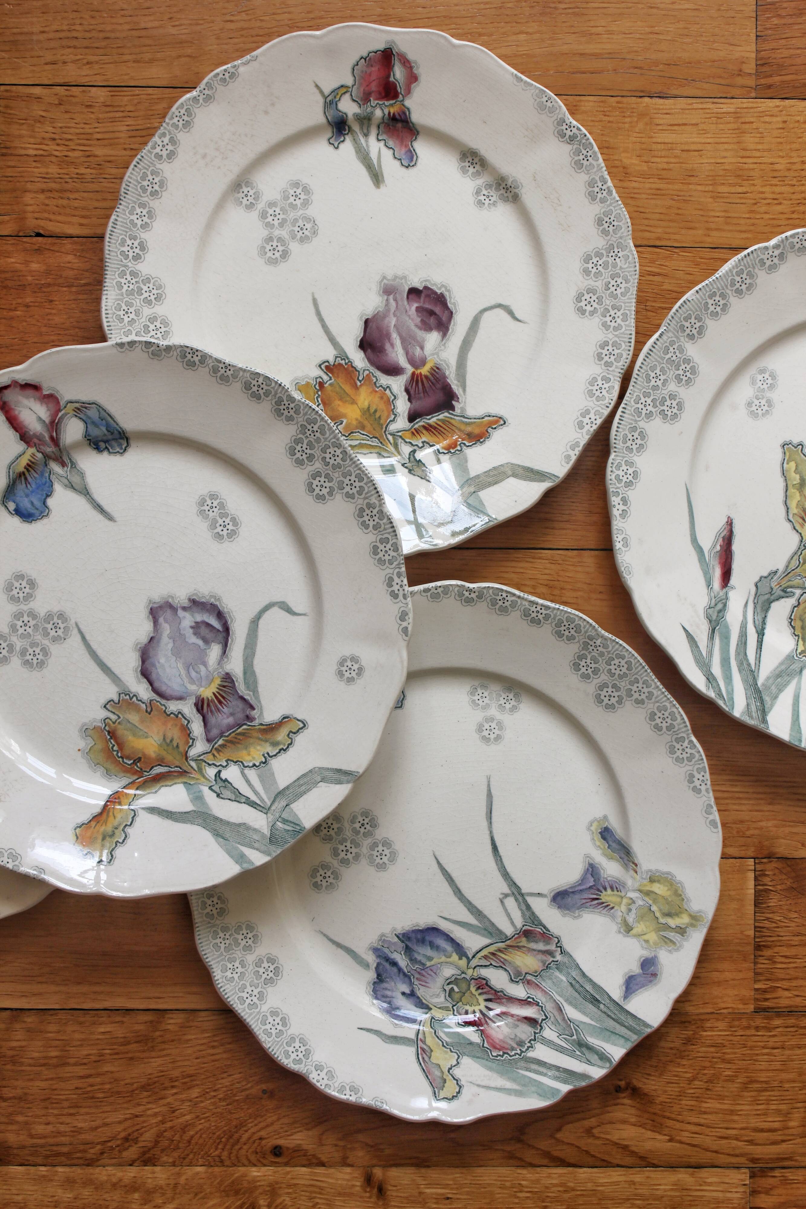 6 large flat plates in polychrome iron earth model "Iris" Choisy-le-Roi