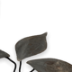 Brushed Metal Garden Table Leaf Patterns