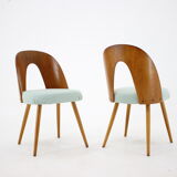 Antonin Suman set of four dining chairs, Czechoslovakia, 1960s