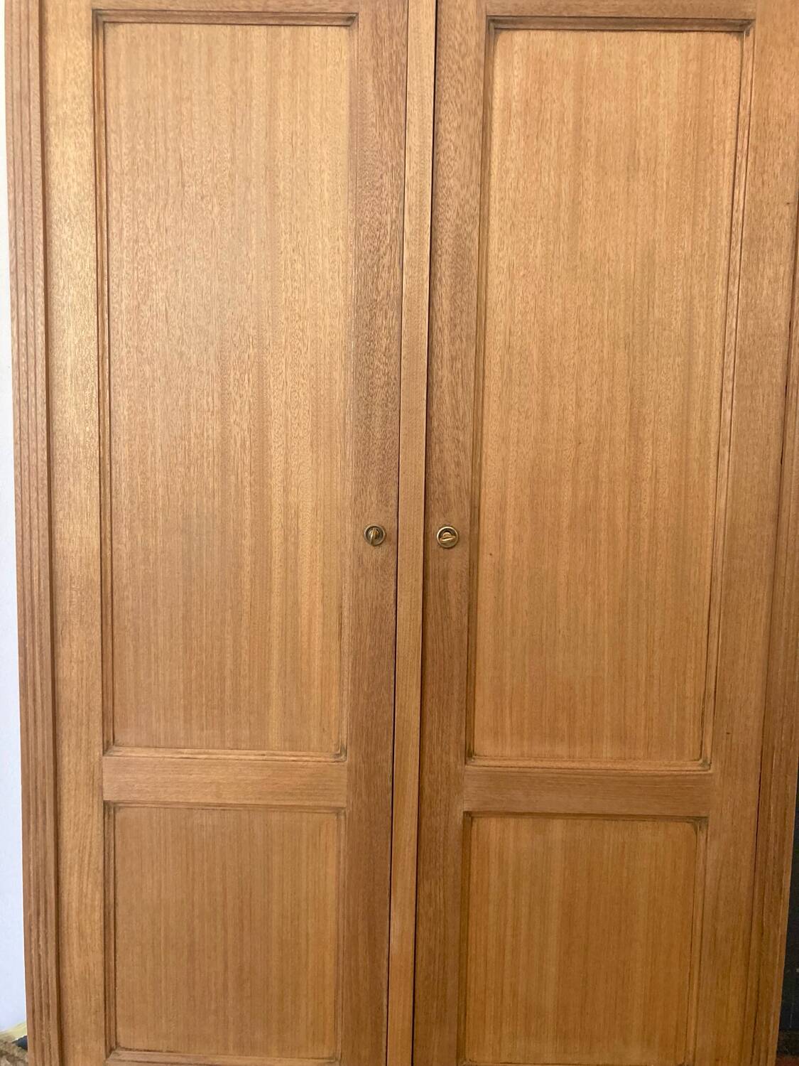 Parisian wardrobe in raw wood