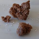 Sand Roses
