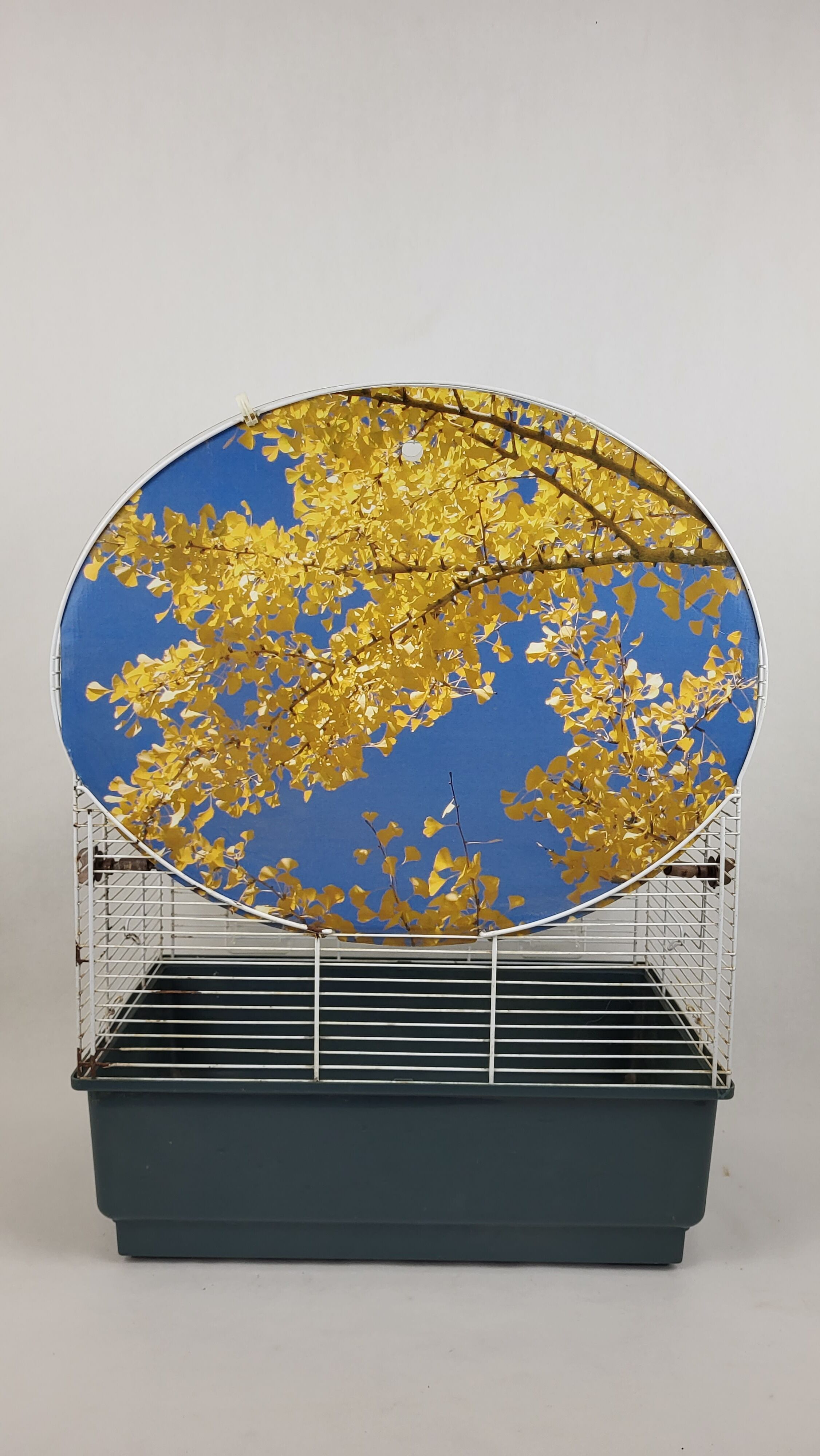 Vintage free standing bird cage