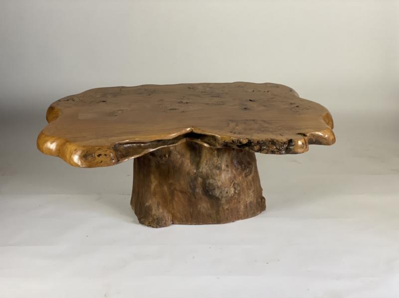 Salon table in racine vernie