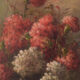 Nature morte aux hortensias