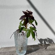Glass sunflower vase 1990