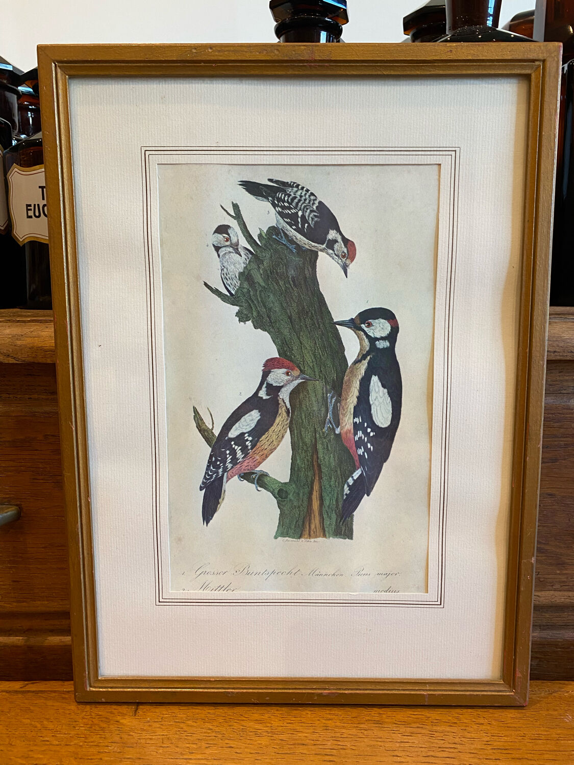 Set of decorative frames