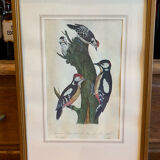 Set of decorative frames