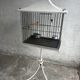 Vintage pagoda-style birdcage on a stand