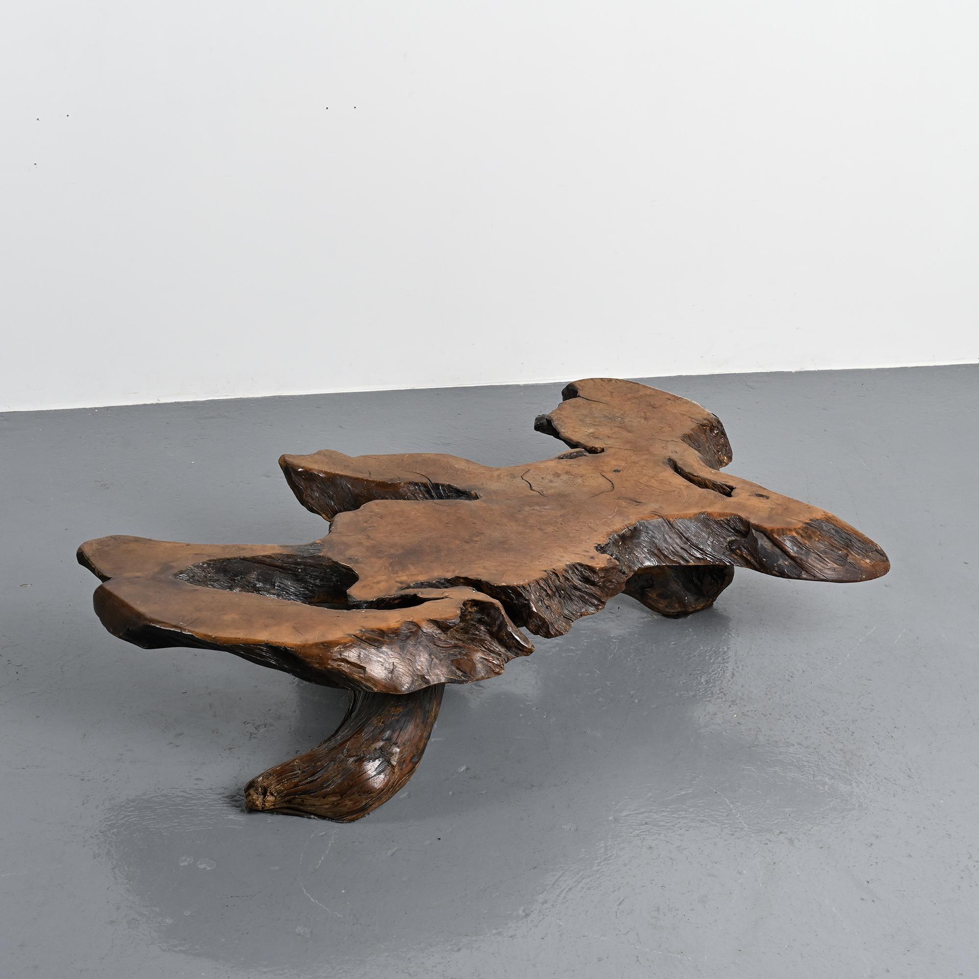 Table basse brutaliste en loupe d'orme, circa 1960