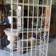 Etagere boulangere ancienne en fer forge a 5 niveaux