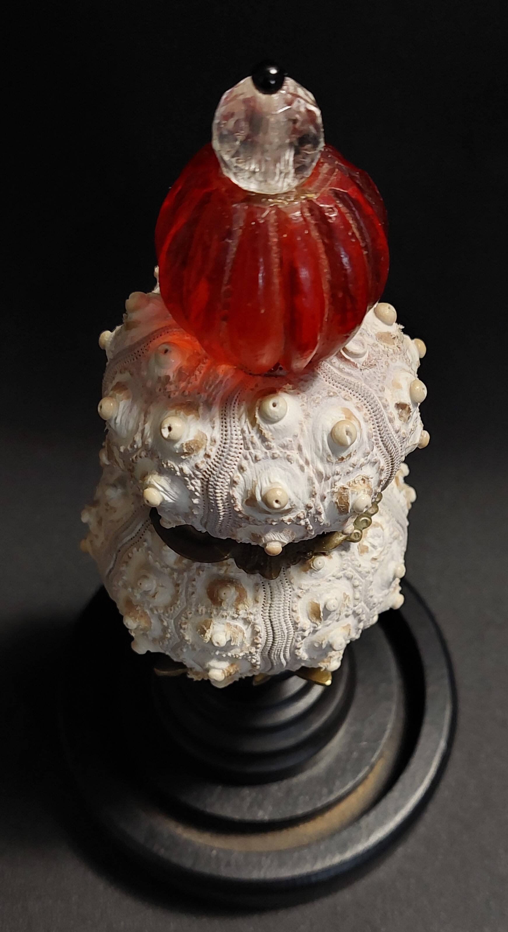 Cabinet of Curiosities globe with sea urchins phyllacanthus imperialis