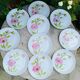 10 assiettes à dessert Moulin des Loups Orchies décor Corinne
