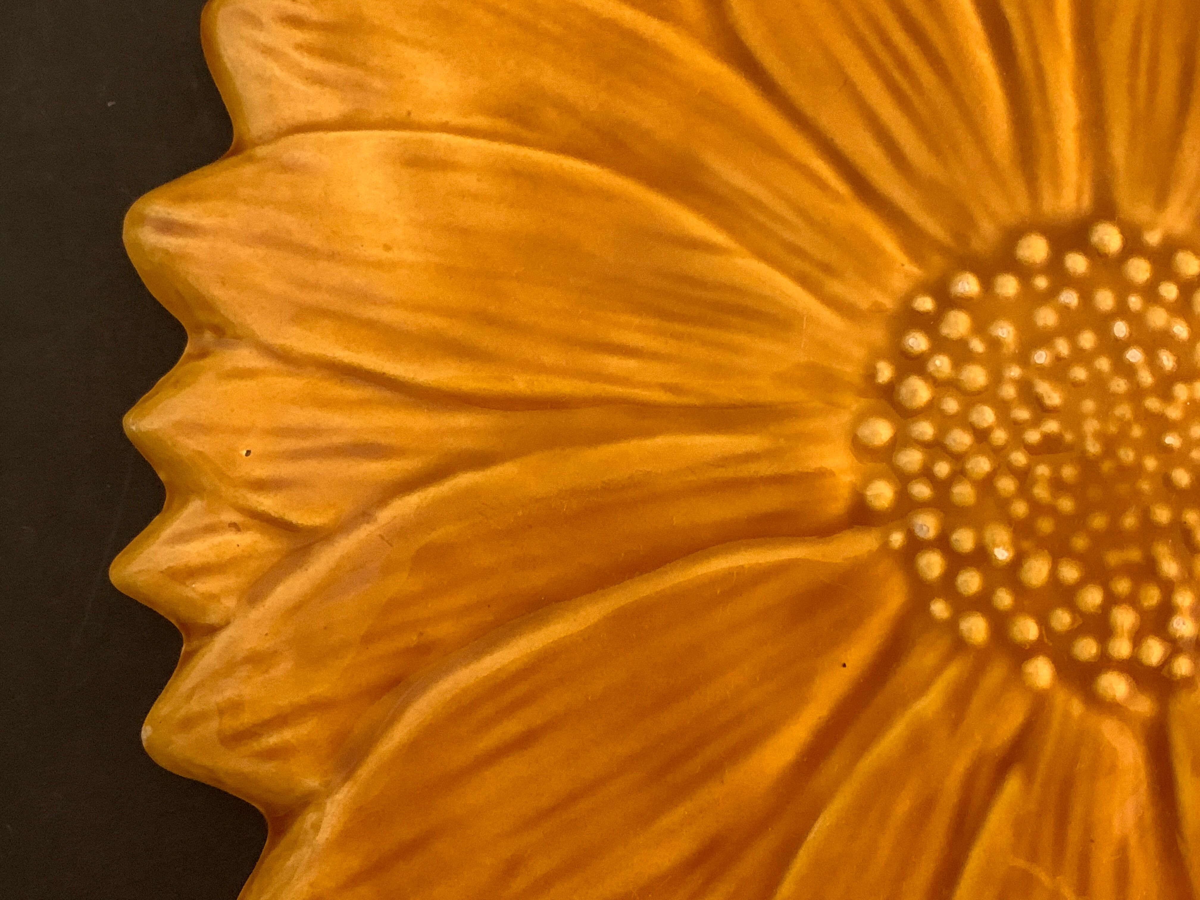 Underside Vallauris Aegitna, Saltalamacchia, sunflower model