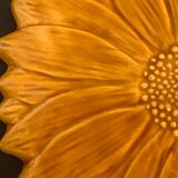 Underside Vallauris Aegitna, Saltalamacchia, sunflower model