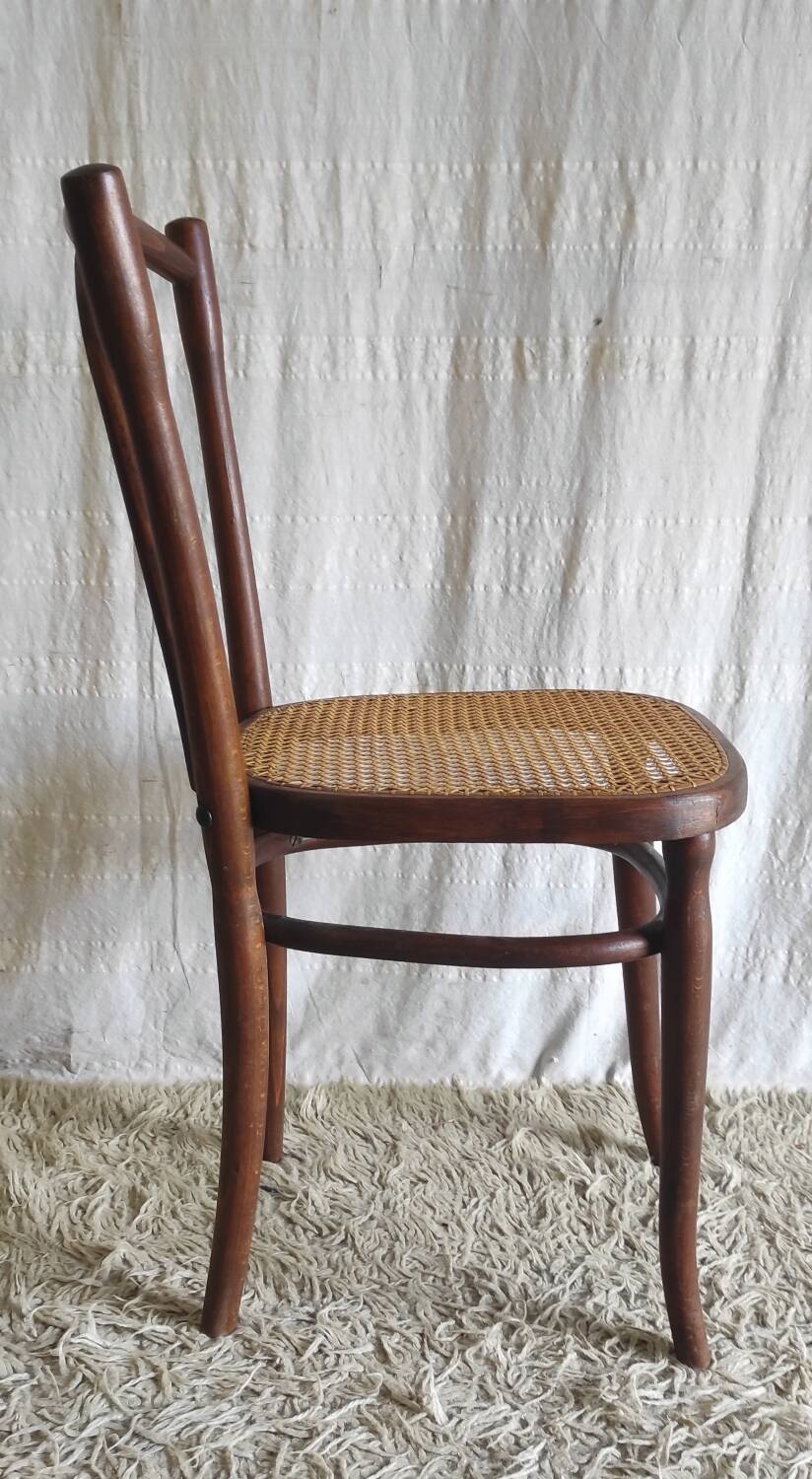 Bentwood and cane chair - early 20th century