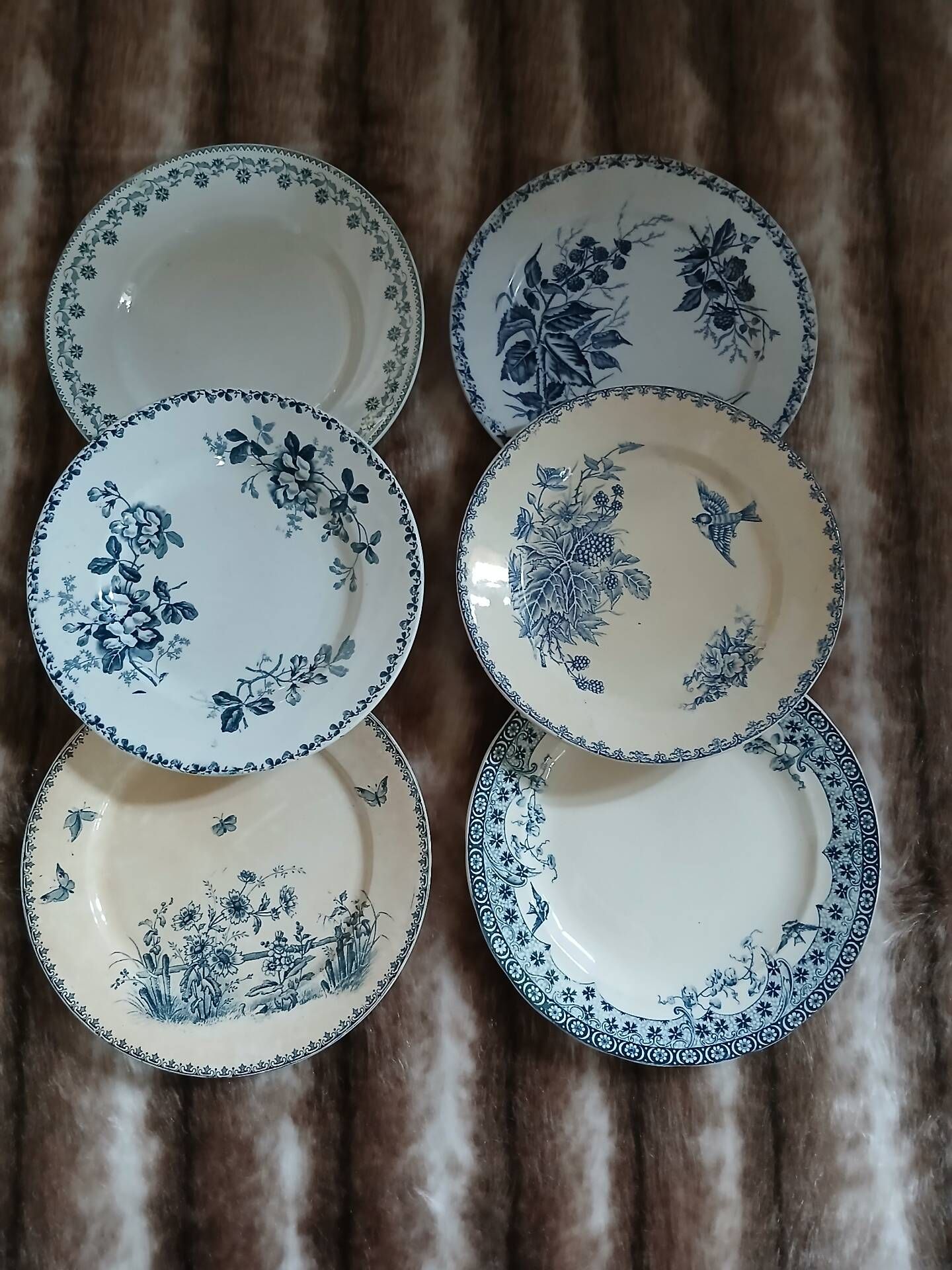6 antique flat plates in ironstone