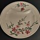 Asparagus plate Sarreguemines decoration sharp sharp early twentieth century