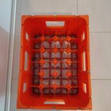 Pampryl Banga plastic bottle box