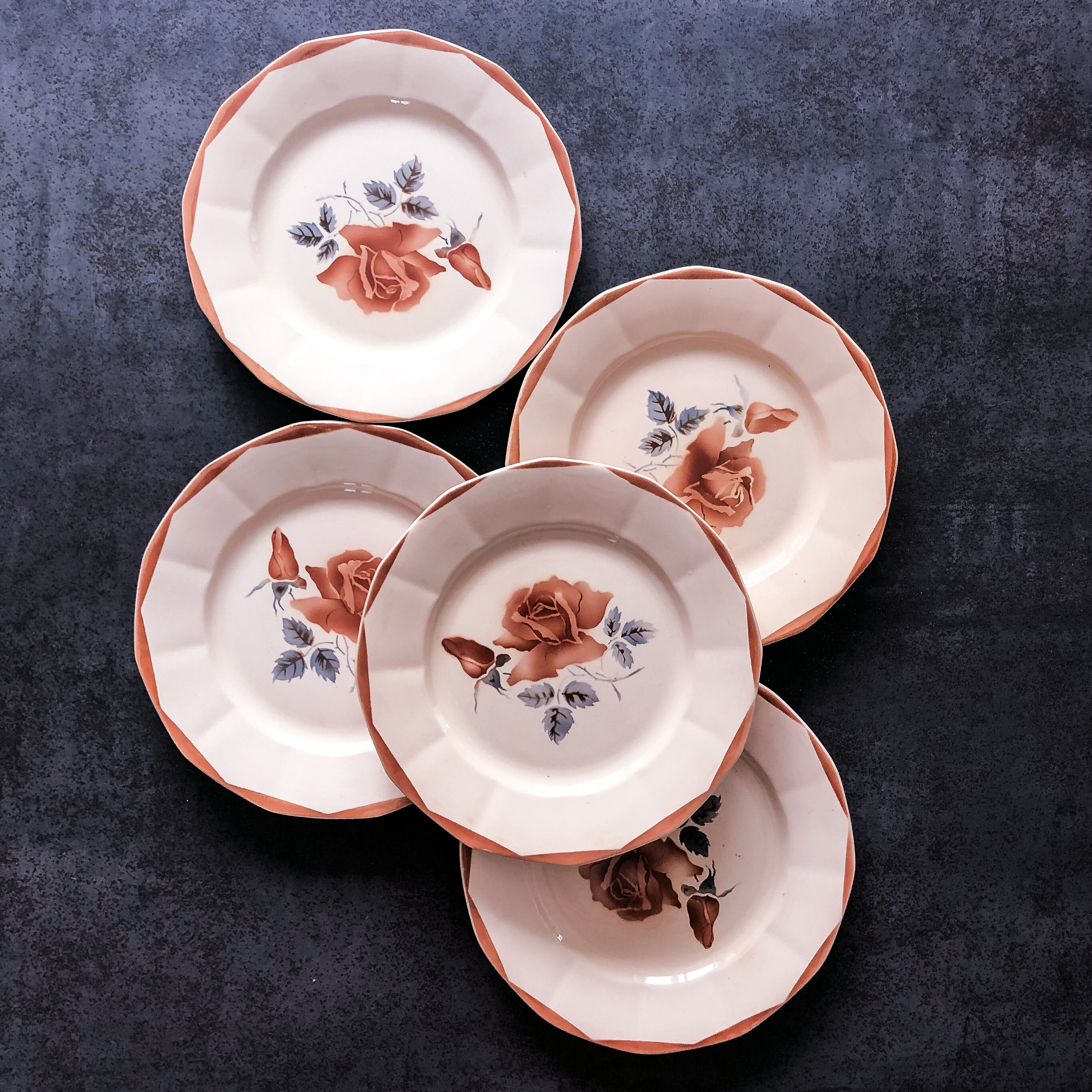 5 flat plates digoin sarreguemines