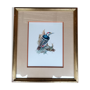 Aquarelle oiseau