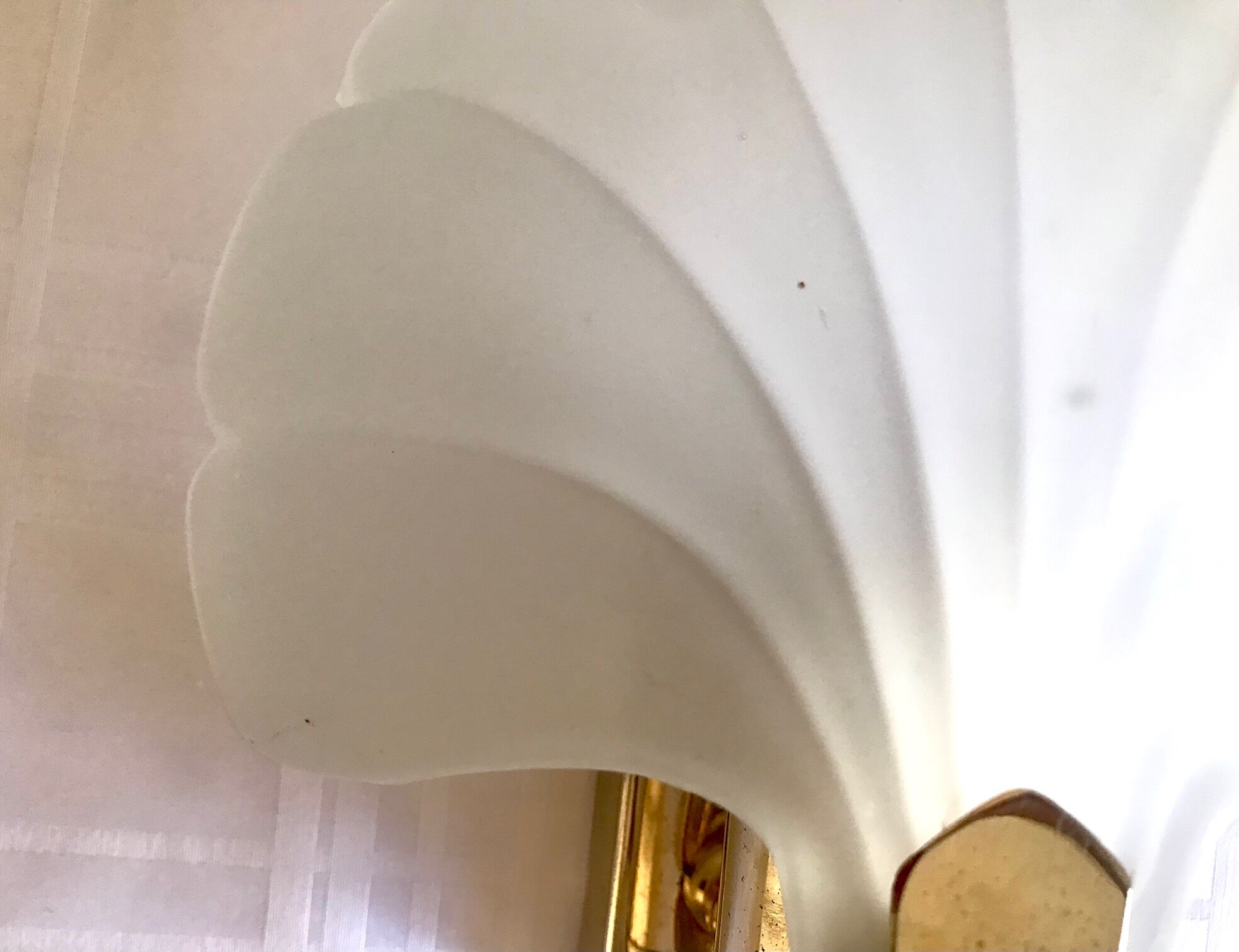 Pair of shell sconces