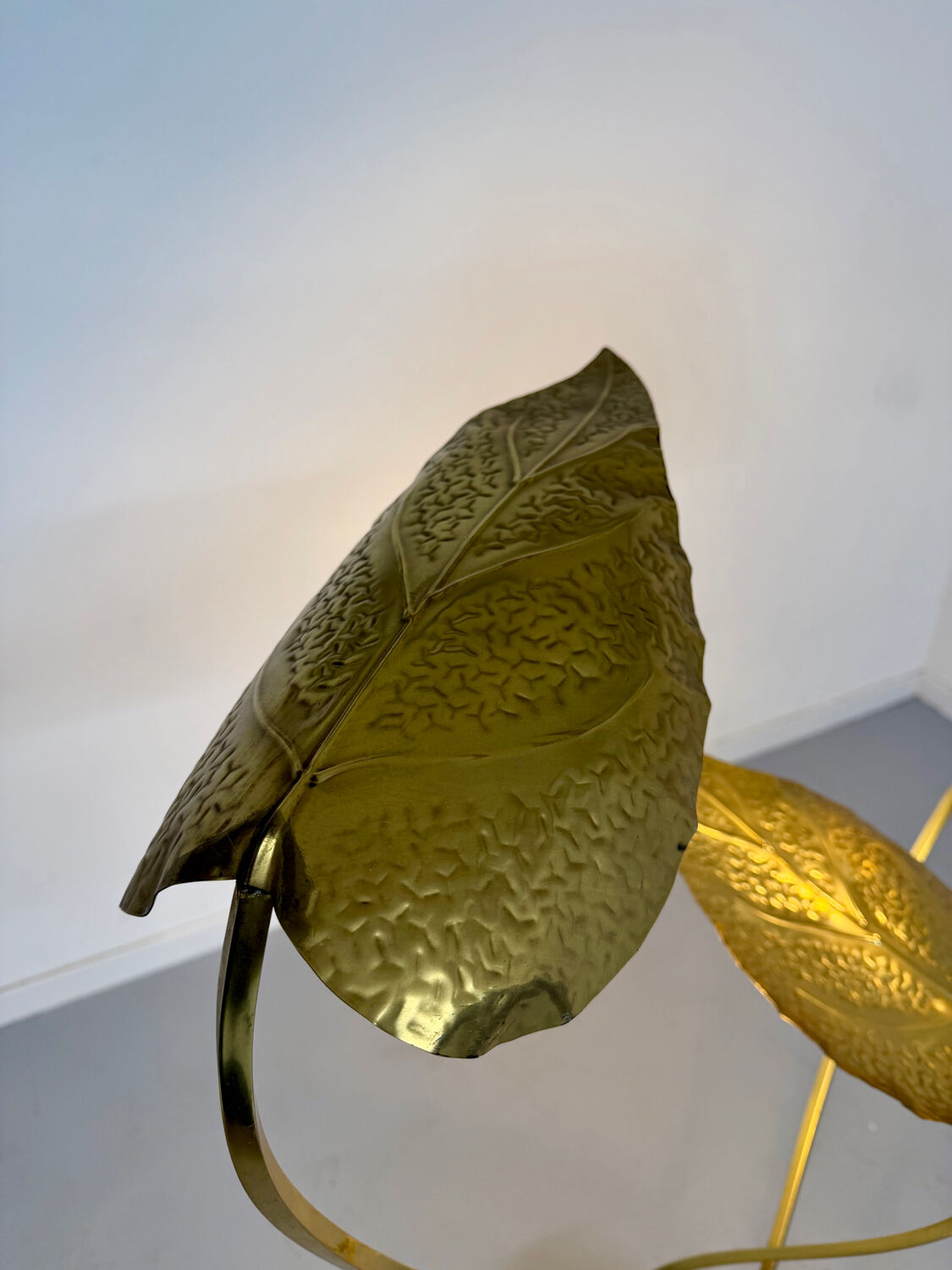 Rhubarb leaf floor lamp brass design Tomaso Barbi Italy an70