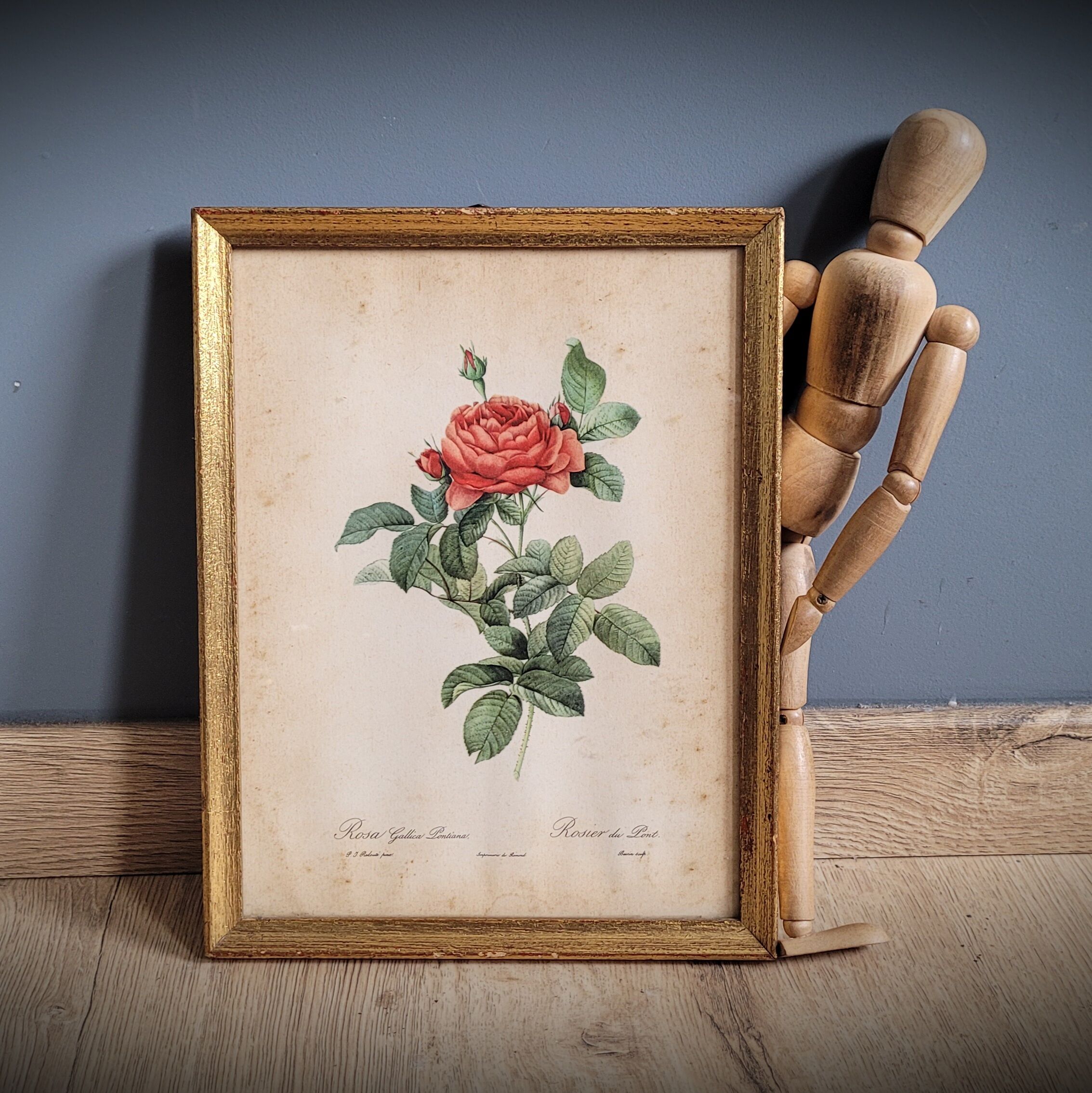 Litho rose of Pont P