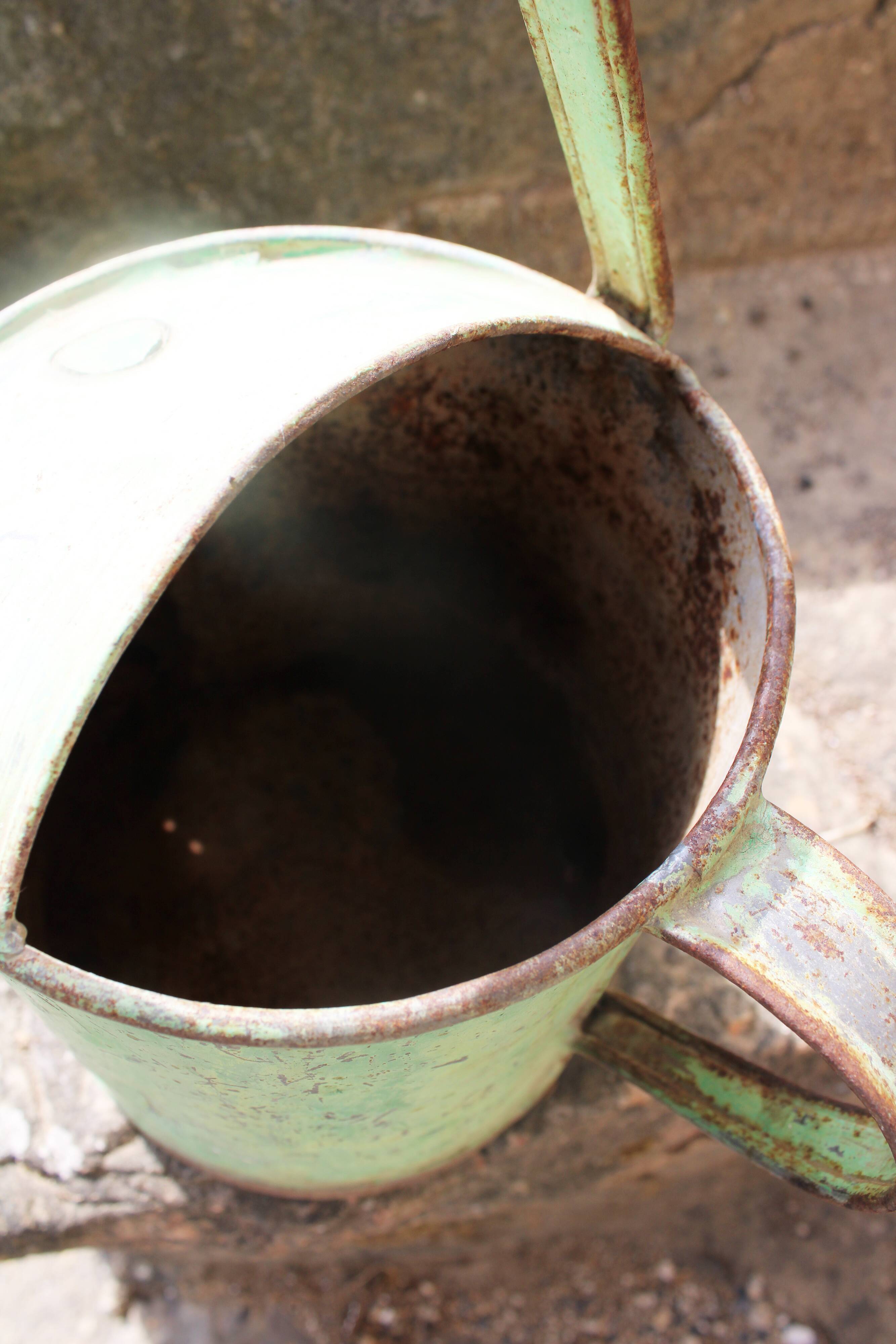 Zinc green watering can