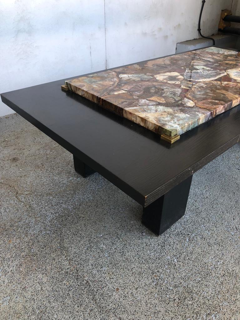 Coffee table with petrified wood top
