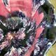 Large Vallauris bowl