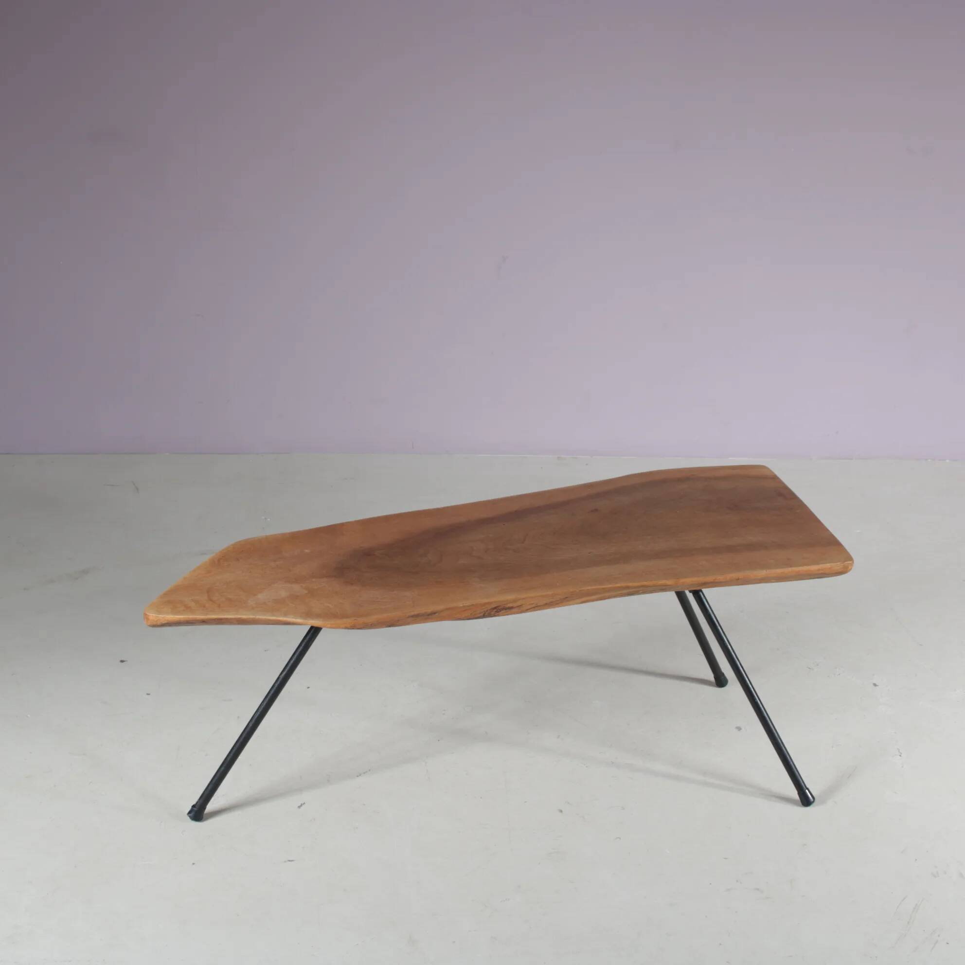 1950s Tree trunk coffee table in Aubock style from Austria