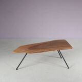 1950s Tree trunk coffee table in Aubock style from Austria