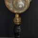 Cabinet of Curiosities pearly shell turbo imperialis on base