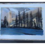 Forest landscape