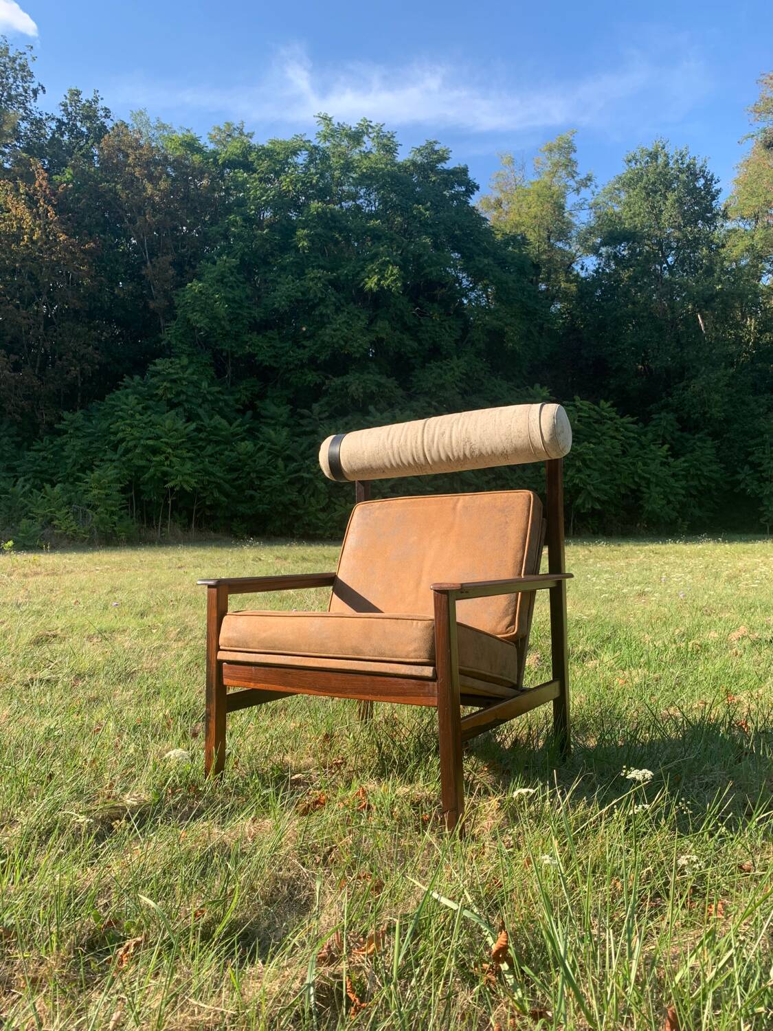 Brazilian rosewood armchair from the 60s, Tônico