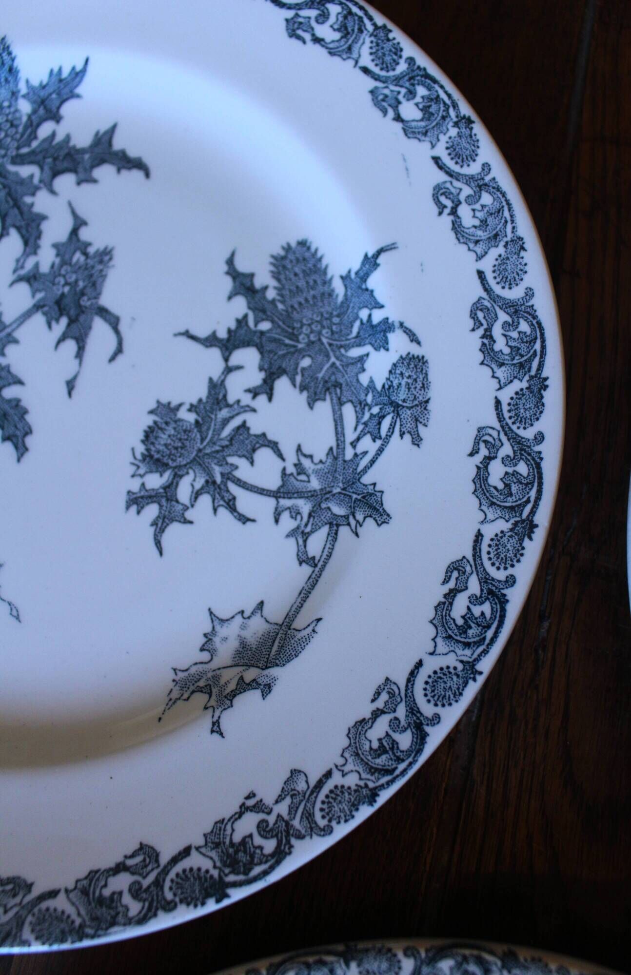 A set of 5 flat plates Chardon Bleu Terre de Fer Clairefontaine Righi