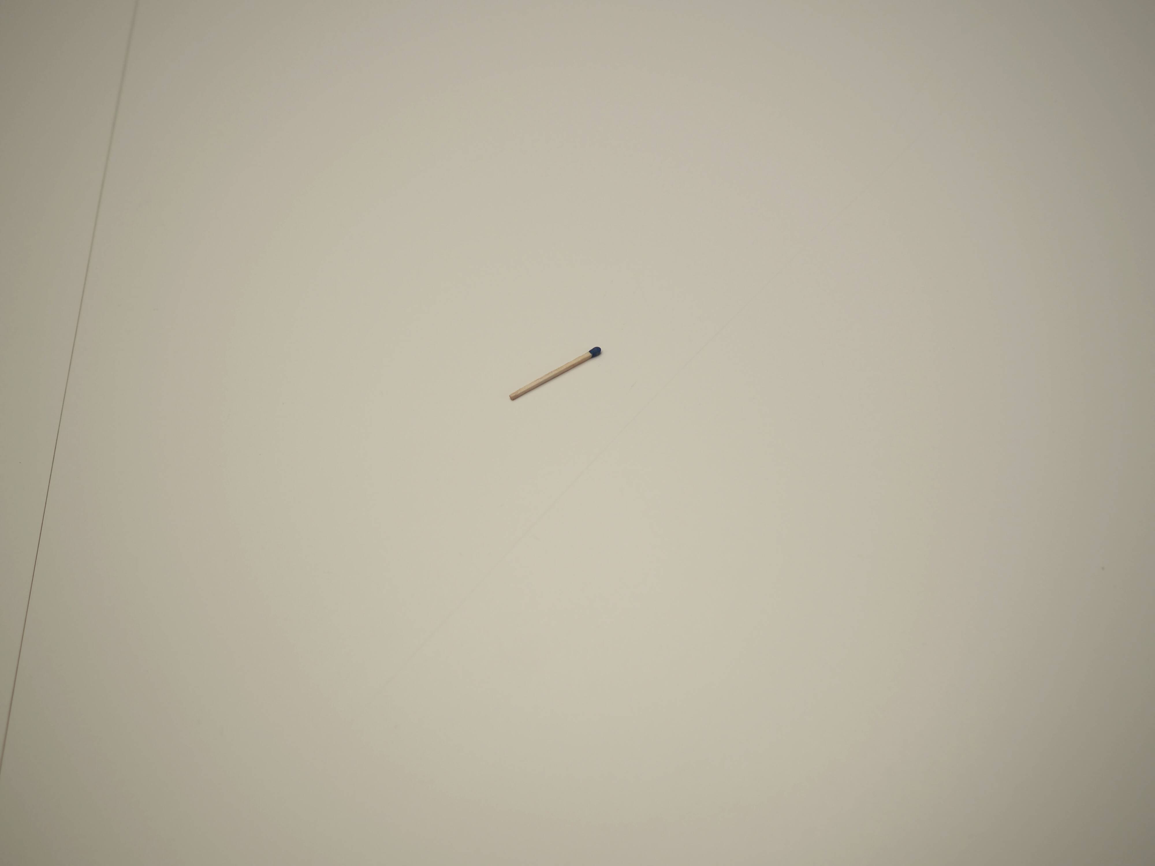 Conference table, Danish design, 2016, designer: Paul Leroy, manufacturer: Paustian