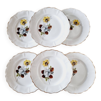 6 Assiettes Plates Porcelaine Française Sarreguemines Fleurs