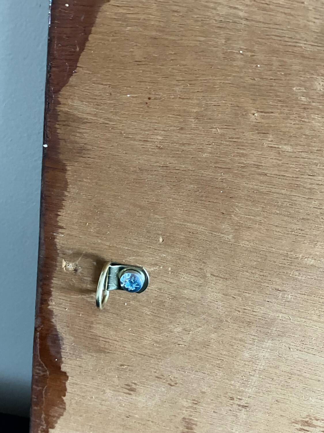 Capron ceramic decorative plate