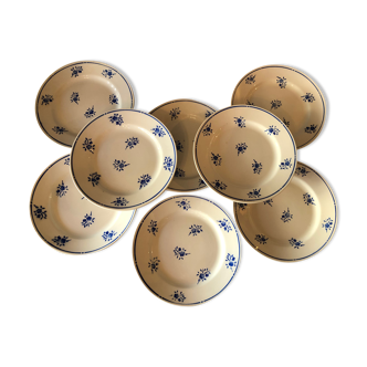 8 flat plates in antique earthenware