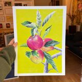 Drawing Apples in colored pencil