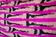 Matching silk ikat velvet pillows