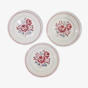 Set of 3 plates hbcm model roses